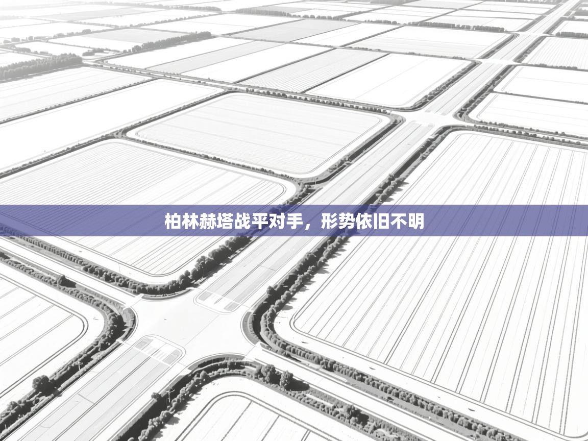 柏林赫塔战平对手，形势依旧不明  第1张